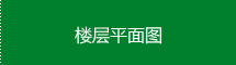 楼层平面图