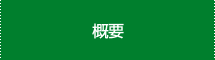 概要